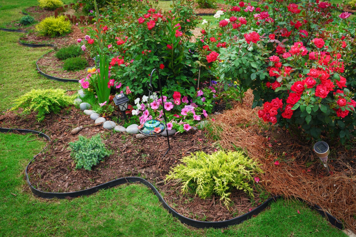 Lawn